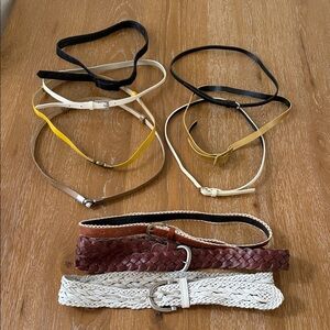 Women's Multi-Color Slim & Braided Belt Set